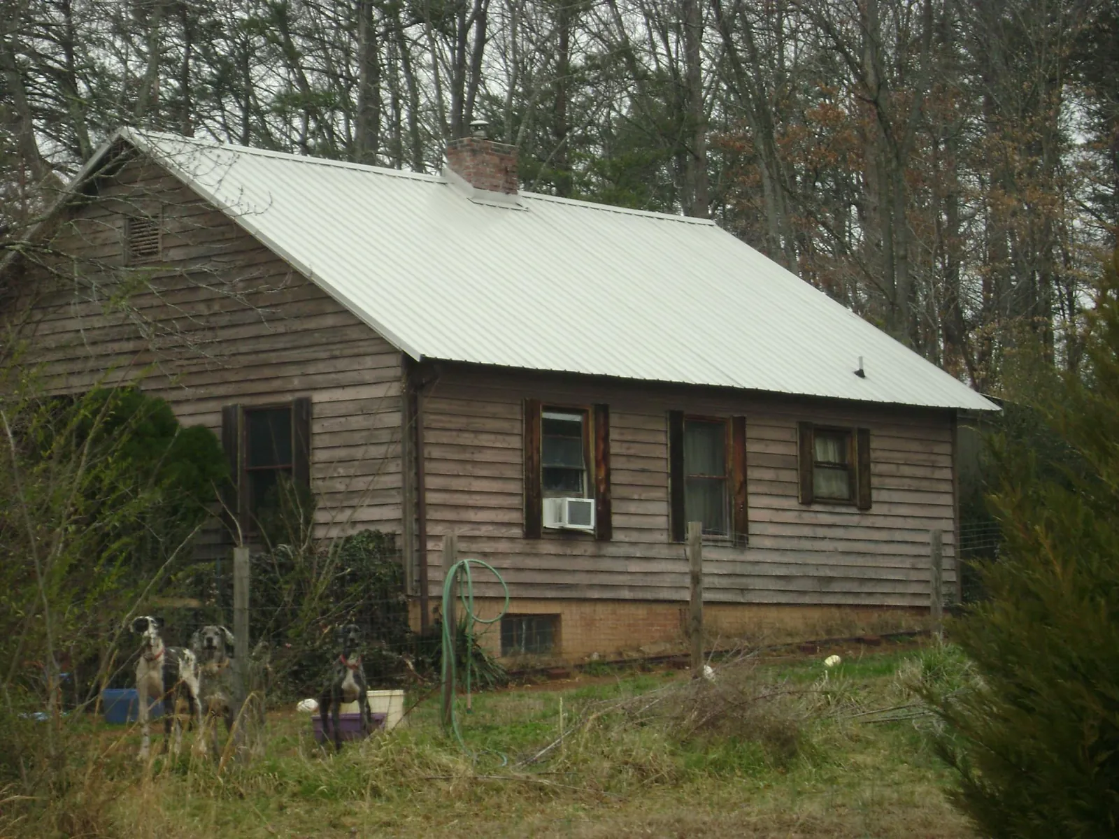 White metal roof on an old wood sided farmhouse, from a Asphalt Shingle Roof Repair job in Dickey